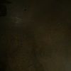dlscott75